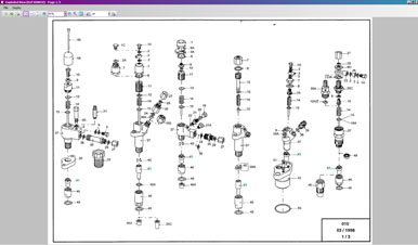 Delphi Direct Evolution